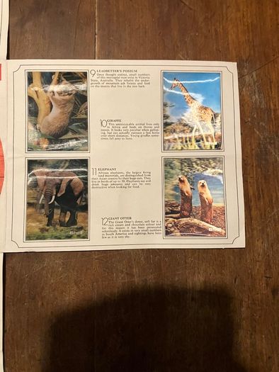 Vintage Shell WWF Shell Wild Animal Cards