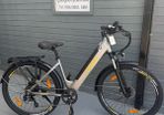 Genuine Eleglide T1 Pro Electric Bike