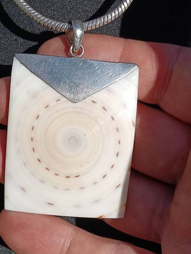 Stunning Sterling Silver Natural Shell Pendant Set.