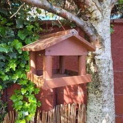 Bird feeder