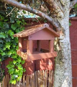 Bird feeder