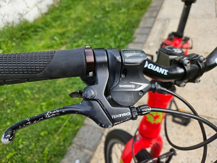 Frog 55 Bike