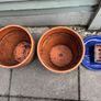 2 medium terracotta pots and 1 bonsai pot Image 2