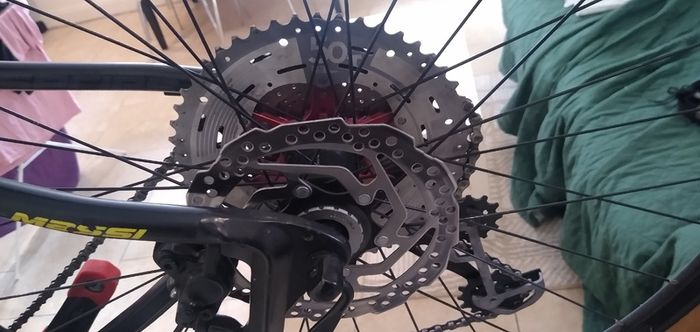 Massi Fura 29" 2019 hardtail