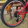 Trek Wahoo kids mountain bike 24x1.95 tyre size Image 5