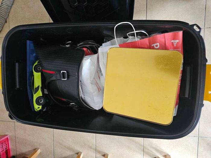 Strata heavy duty Trunk (storage box)