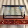 Fish Tank Image 7