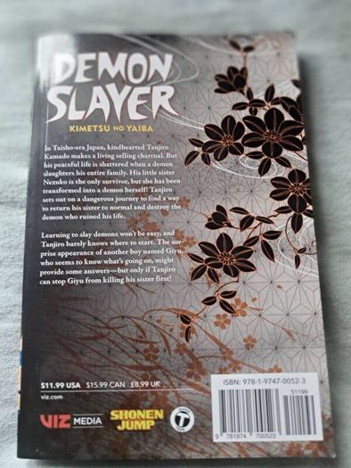 demon slayer vols 1-9