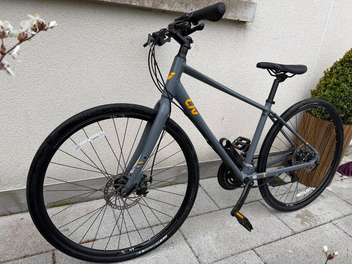 Liv Alight bike in size S