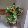 small cherry plant pot Image 5