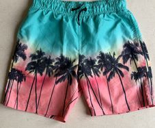 Swimming Shorts