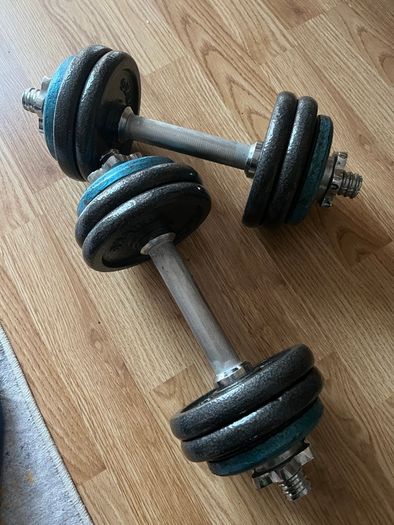 2x 9kg cast iron dumbbells