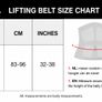 Leather Lever Lifting Belt - Size L - Never Used Image 7