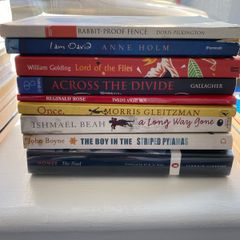 secondary school books novels 2 each