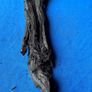 bog oak Image 8