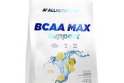 BCAA MAX support 1000g