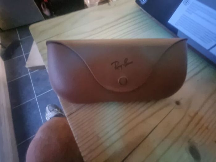 ray ban meta case