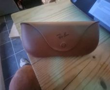 ray ban meta case