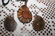 Shell fossil ,Necklace and earings