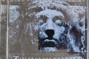 Fields Of The Nephilim - Mourning Sun CD (2006) Argentinian Release w/Bonus Track Goth Rock EX+