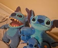 Stitch Teddies
