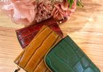 Credit card and money purse