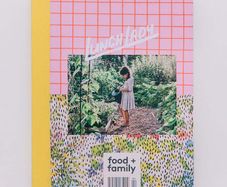 Lunch Lady Magazine Book Series Issue 22