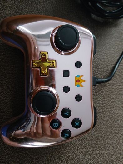 Wired Nintendo Switch Controller
