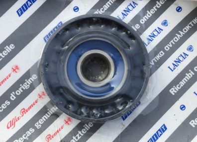 Aux Belt Idler (Fiat Ducato Camper)