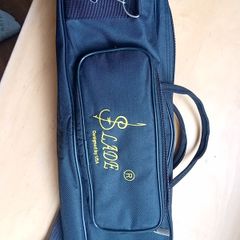 Trumpet bag