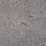 PVC Flooring Planks 5.02 m(sqr) 2 mm Self-adhesive Cement Brown Image 2