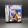 Lunar Legend Nintendo Game Boy Advance Boxed Image 8
