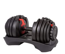 24 kg Adjustable Dumbells
