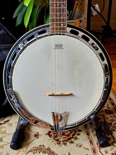 Tanglewood TWB USA 5 Cove Creek Banjo