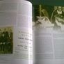 The years between Moate Co. Westmeath 1956-2006 Ireland Irish By Vera Hughes Image 9