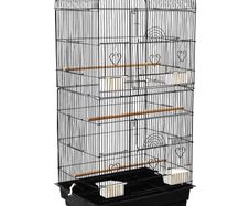 Large cage (& all accessories) plus two happy healthy budgies (1 male, 1 female) for sale