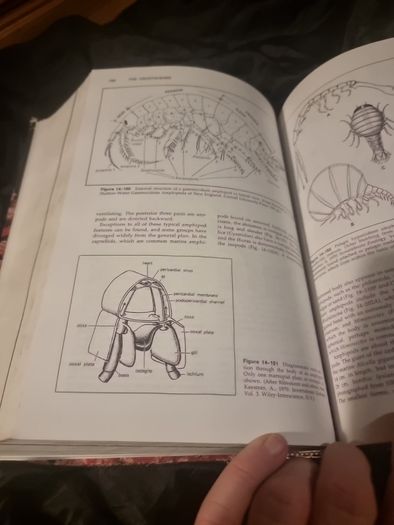Invertibrate Zoology . 4th edition(Hardcover Illustrated Boards)