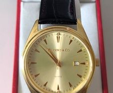 Mens Watch Diamond and Co gold colour
