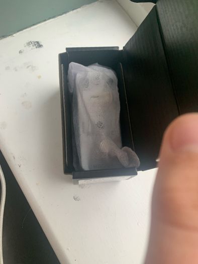 mooer reecho digital delay