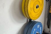 Gym Weighted Plates + Barbell