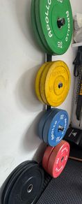 Gym Plates + Barbells