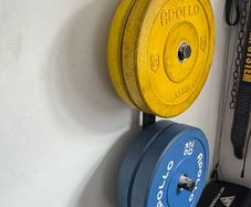 Gym Plates + Barbells