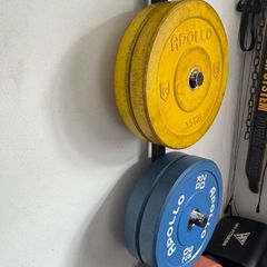 Gym Plates + Barbells