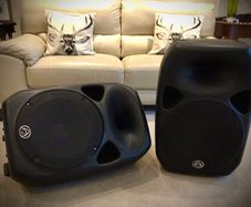 Warfdale titan pro 15D