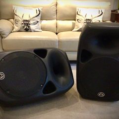 Warfdale titan pro 15D