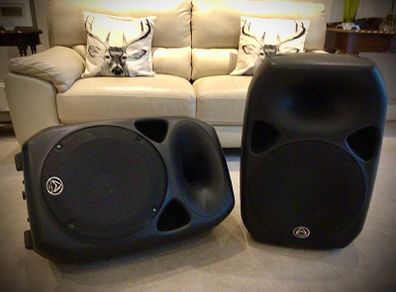 Warfdale titan pro 15D