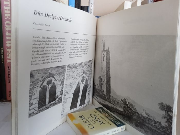A Pictorial Guide to the Irish Franciscan First Order Foundation: Eolai Pictiurtha do Fhonduireachtai na bhFroinsiasach Eireann den Chead Ord by Frederic Mac Donncha (LP131)