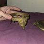 Vintage Brass Brazier Image 4