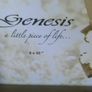Genesis Fine Arts Mr & Mrs Photo Frame 8x10 Bronze Wedding Gift NN034 New Boxed Image 10