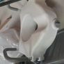 Raised Toilet Seat - reduced to sell quickly Image 3